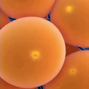 Hormone Optimization