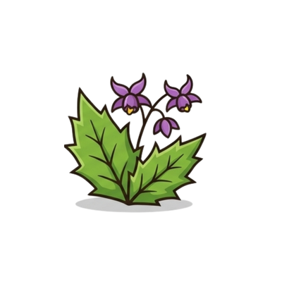 Epimedium