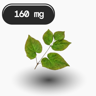 Epimedium
