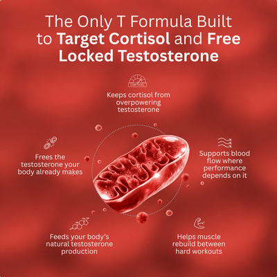Advanced Testosterone Support