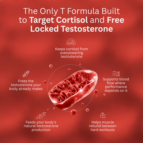 Advanced Testosterone Support