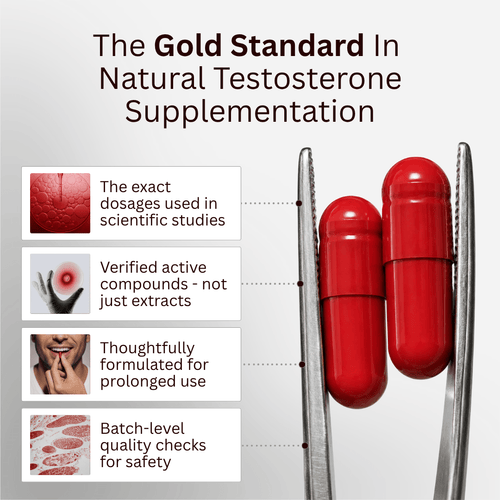 Advanced Testosterone Support