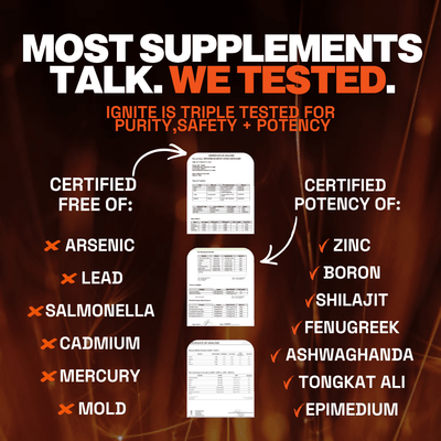 IGNITE Advanced Testosterone Support Gummies - STOKED Nutrition